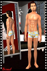 Tenue pour sims 2 par Biced pour milkazen.net