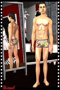 Tenue pour sims 2 par Biced pour milkazen.net